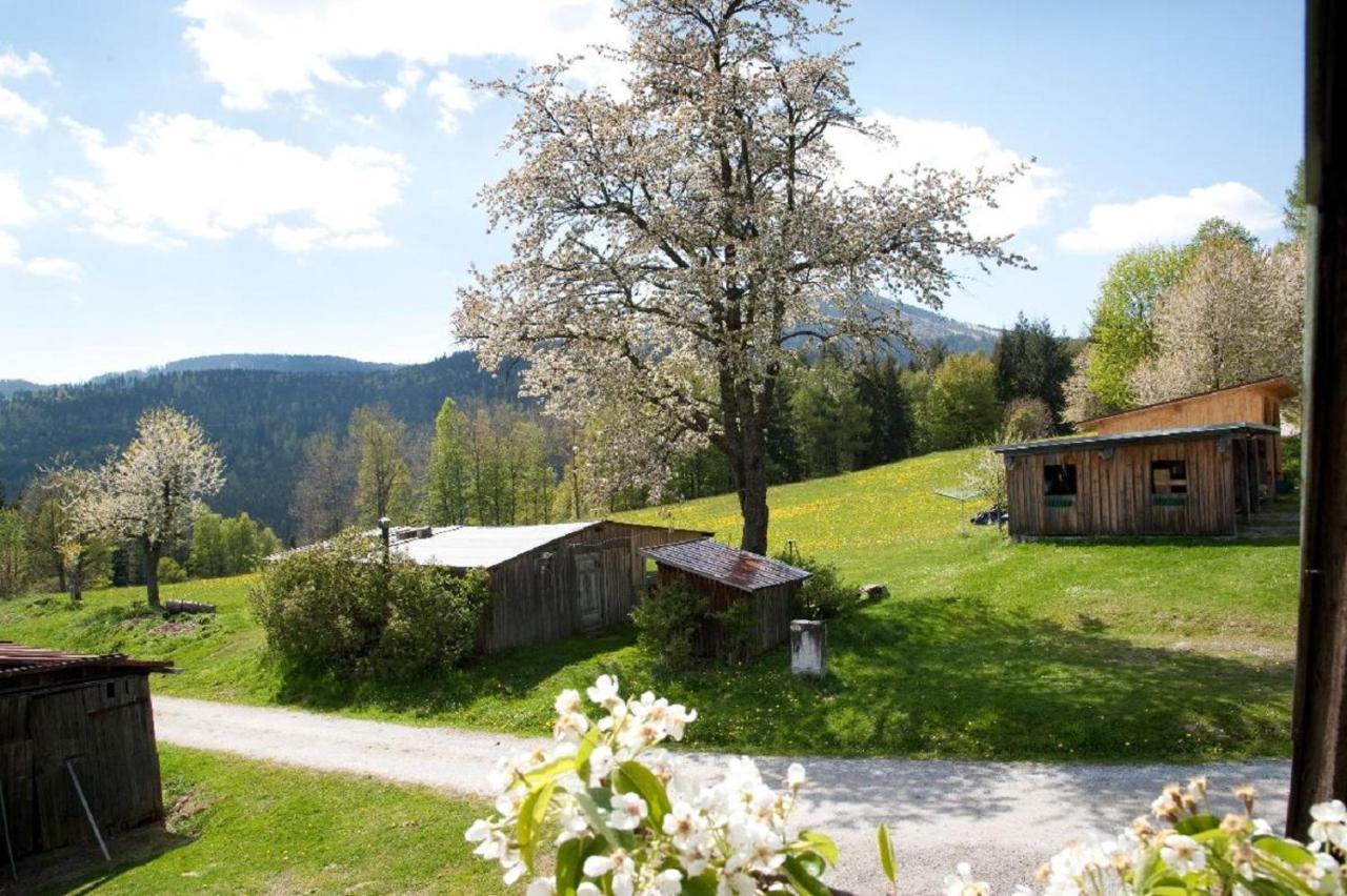 Landhof Steinhuette Guest House Bayerisch Eisenstein Exterior photo